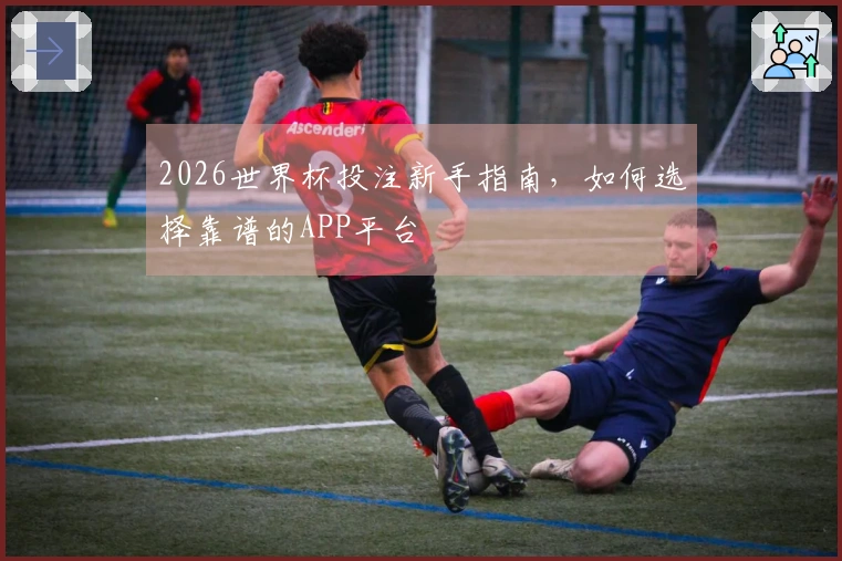 2026世界杯投注新手指南，如何选择靠谱的APP平台