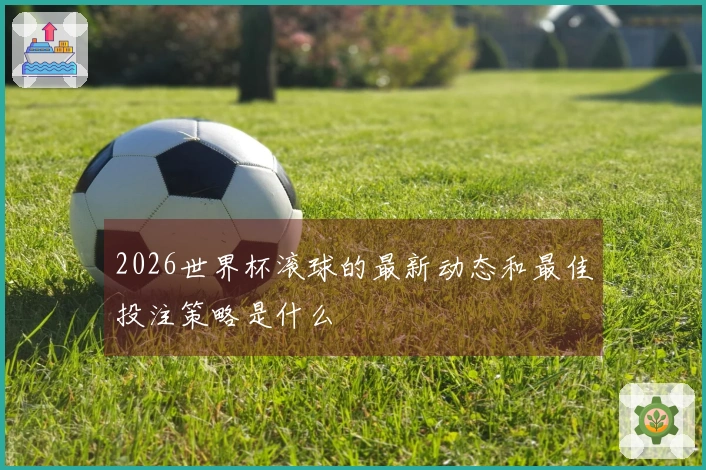 2026世界杯滚球的最新动态和最佳投注策略是什么
