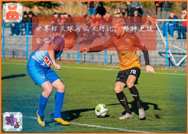世界杯买球方式大对比：哪种更适合你？