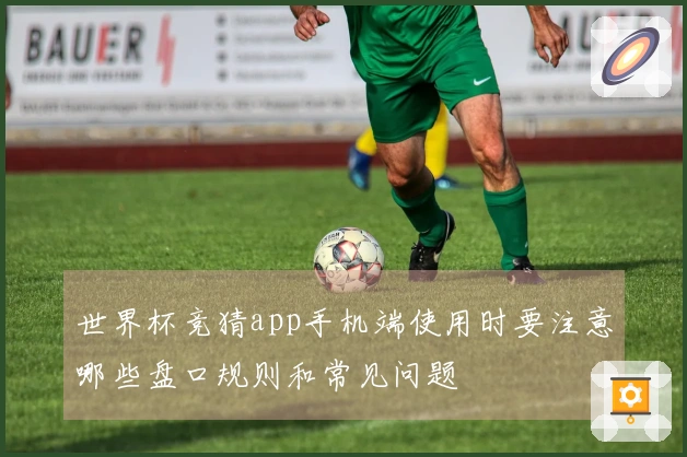 世界杯竞猜app手机端使用时要注意哪些盘口规则和常见问题