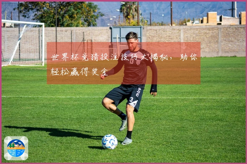 世界杯竞猜投注技巧大揭秘，助你轻松赢得奖金