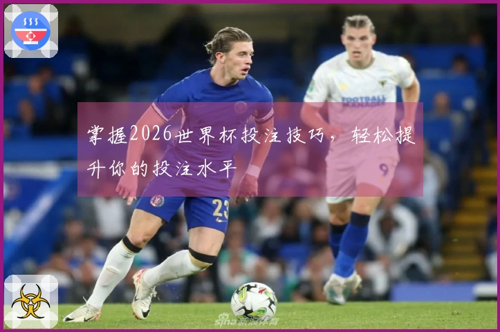 掌握2026世界杯投注技巧，轻松提升你的投注水平