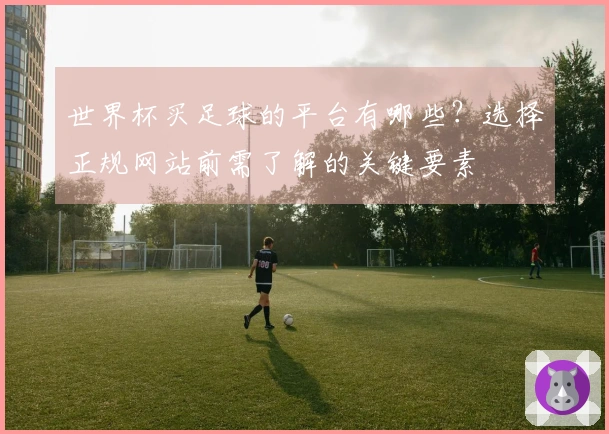 世界杯买足球的平台有哪些？选择正规网站前需了解的关键要素