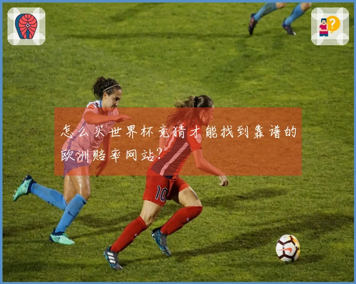 怎么买世界杯竞猜才能找到靠谱的欧洲赔率网站？