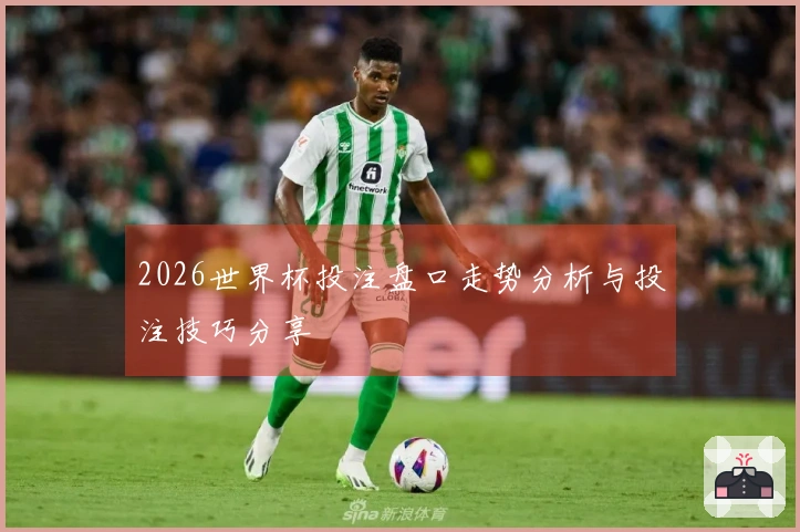 2026世界杯投注盘口走势分析与投注技巧分享