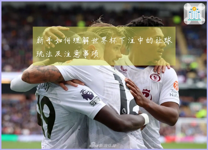 新手如何理解世界杯下注中的让球玩法及注意事项