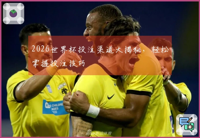 2026世界杯投注渠道大揭秘，轻松掌握投注技巧
