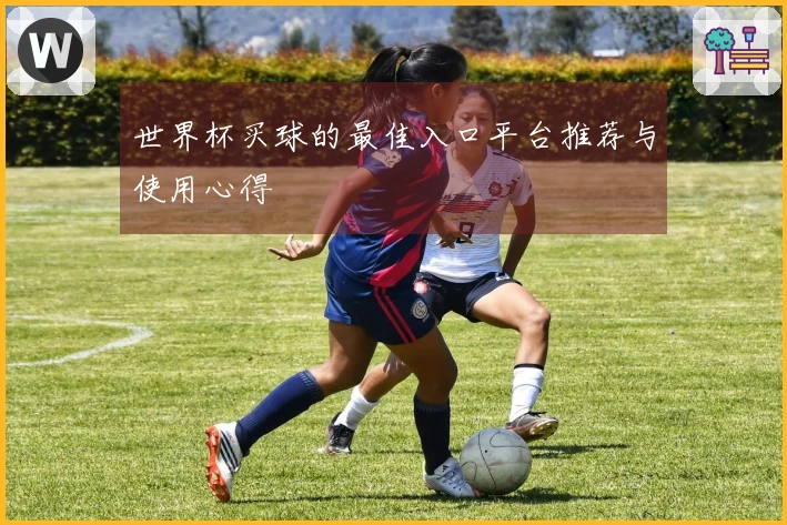 世界杯买球的最佳入口平台推荐与使用心得