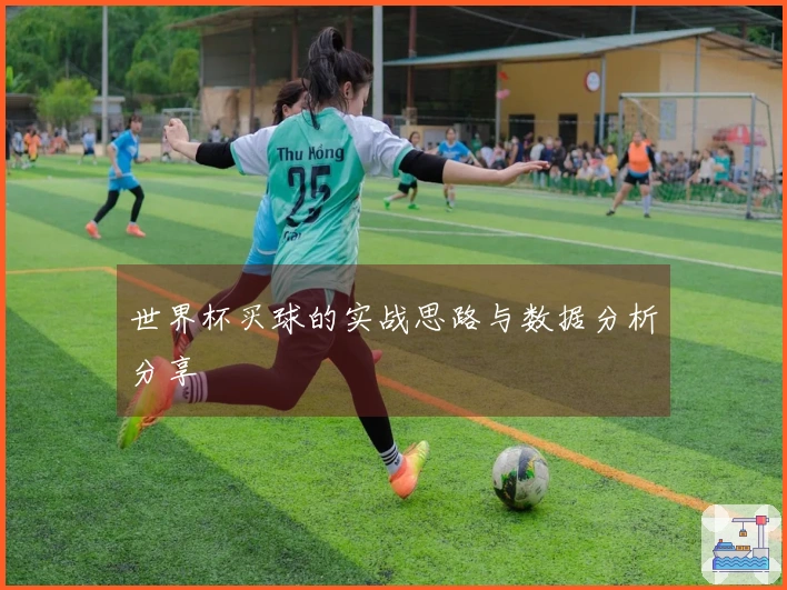 世界杯买球的实战思路与数据分析分享