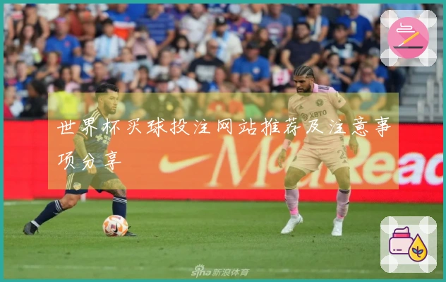 世界杯买球投注网站推荐及注意事项分享