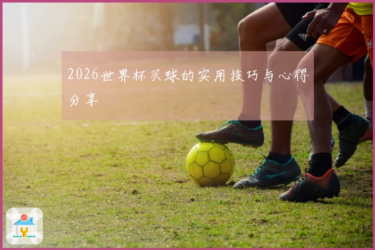 2026世界杯买球的实用技巧与心得分享