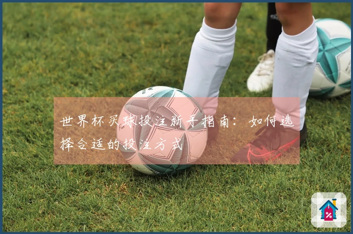 世界杯买球投注新手指南：如何选择合适的投注方式