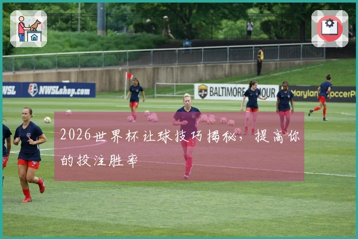 2026世界杯让球技巧揭秘，提高你的投注胜率