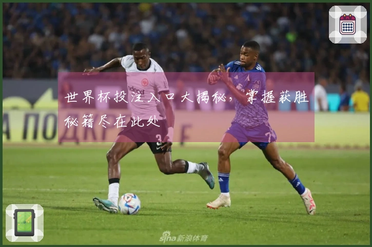 世界杯投注入口大揭秘，掌握获胜秘籍尽在此处