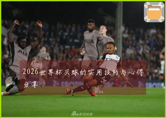 2026世界杯买球的实用技巧与心得分享