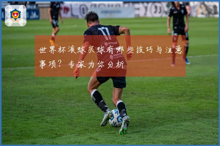 世界杯滚球买球有哪些技巧与注意事项？专家为你分析