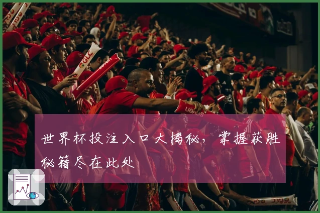世界杯投注入口大揭秘，掌握获胜秘籍尽在此处