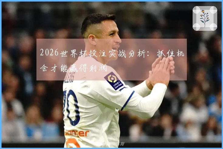 2026世界杯投注实战分析：抓住机会才能赢得利润