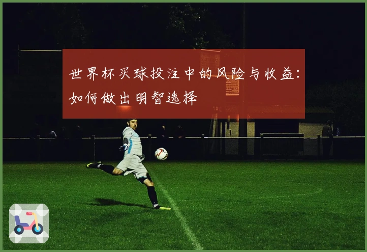 世界杯买球投注中的风险与收益：如何做出明智选择
