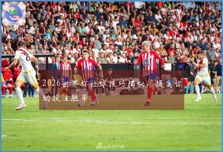 2026世界杯让球技巧揭秘，提高你的投注胜率