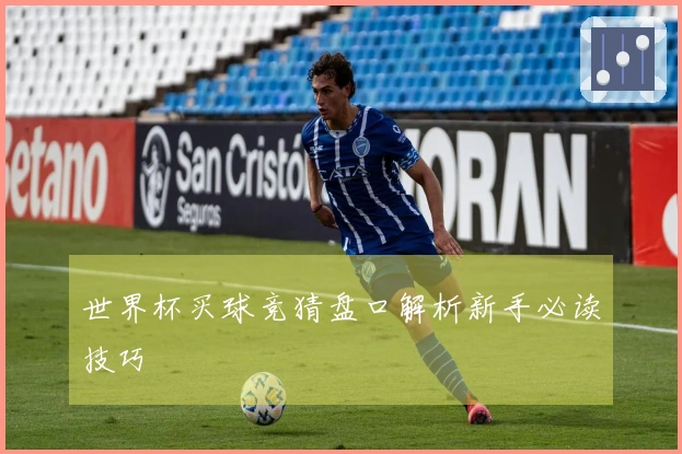 世界杯买球竞猜盘口解析新手必读技巧