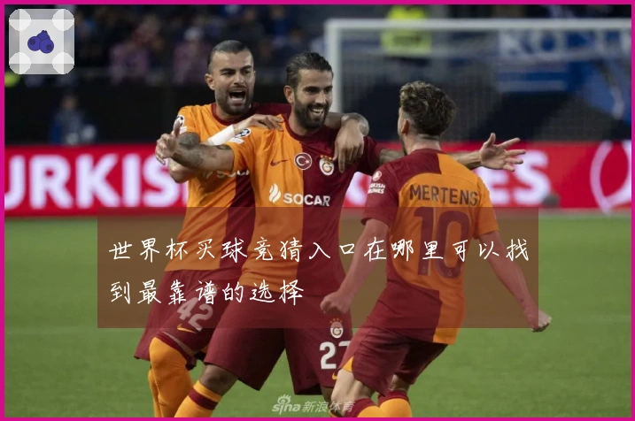 世界杯买球竞猜入口在哪里可以找到最靠谱的选择