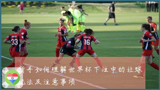 新手如何理解世界杯下注中的让球玩法及注意事项