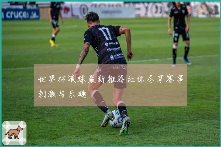 世界杯滚球最新推荐让你尽享赛事刺激与乐趣