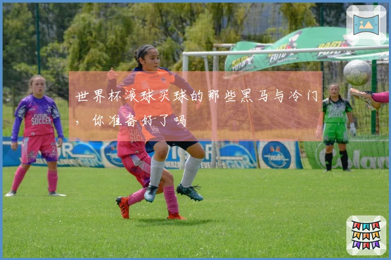 世界杯滚球买球的那些黑马与冷门，你准备好了吗