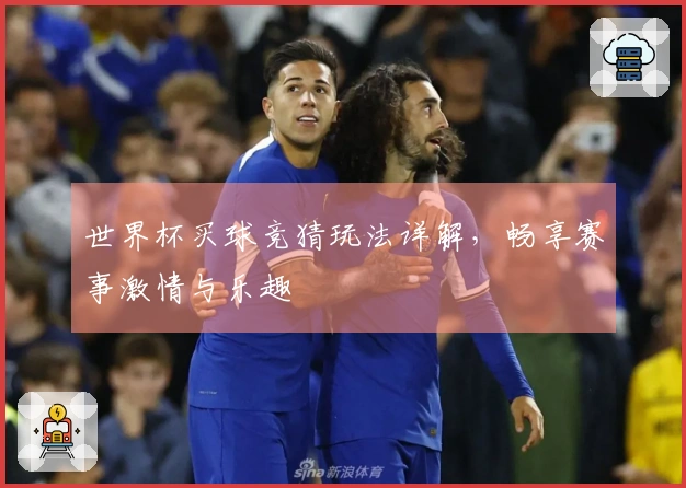 世界杯买球竞猜玩法详解，畅享赛事激情与乐趣