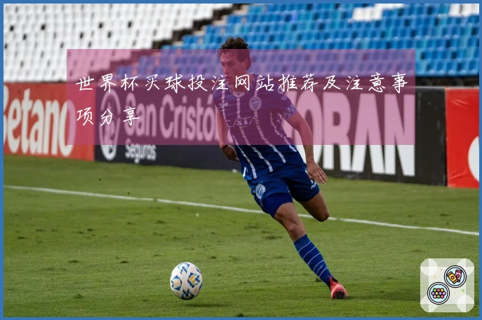 世界杯买球投注网站推荐及注意事项分享