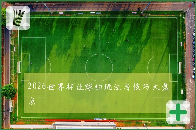2026世界杯让球的玩法与技巧大盘点